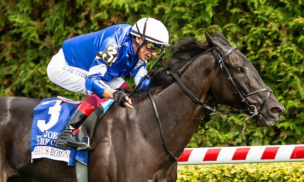 Rebel's Romance, Breeders' Cup Turf, Del Mar, America's Best Racing, horse racing, ABR Rebel's Romance, Breeders' Cup Turf, Del Mar, America's Best Racing, horse racing, ABR